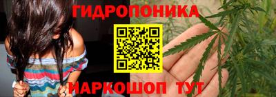 МДПВ Обнинск