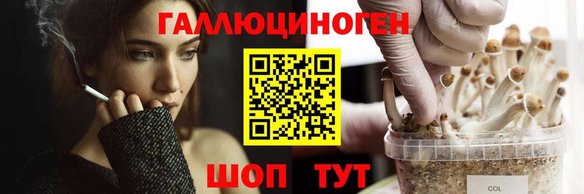 Пушкино  купить закладку  Вход с VPN  Галлюциногенные грибы Magic Shrooms 